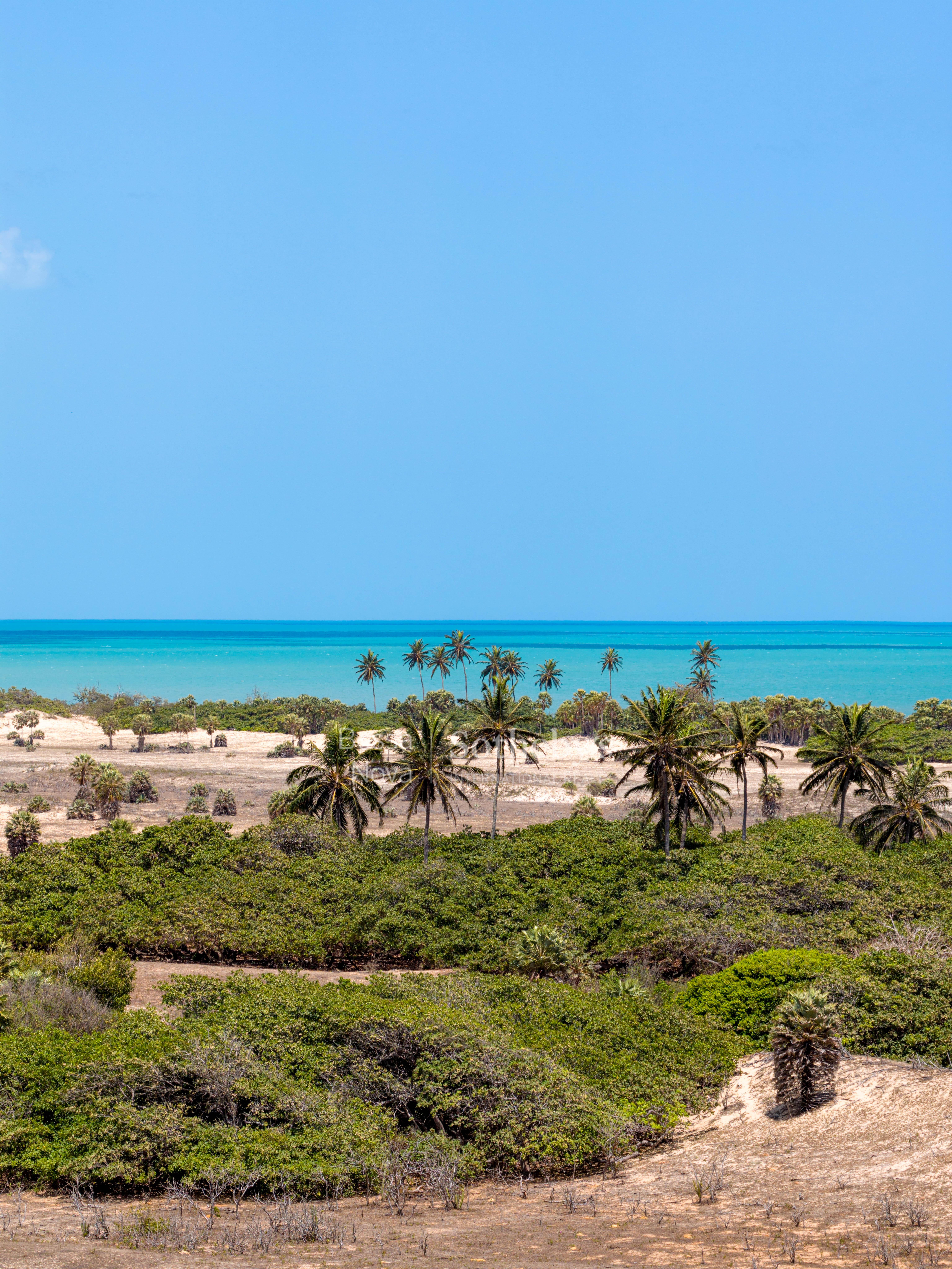 Natureza - Imagem 6