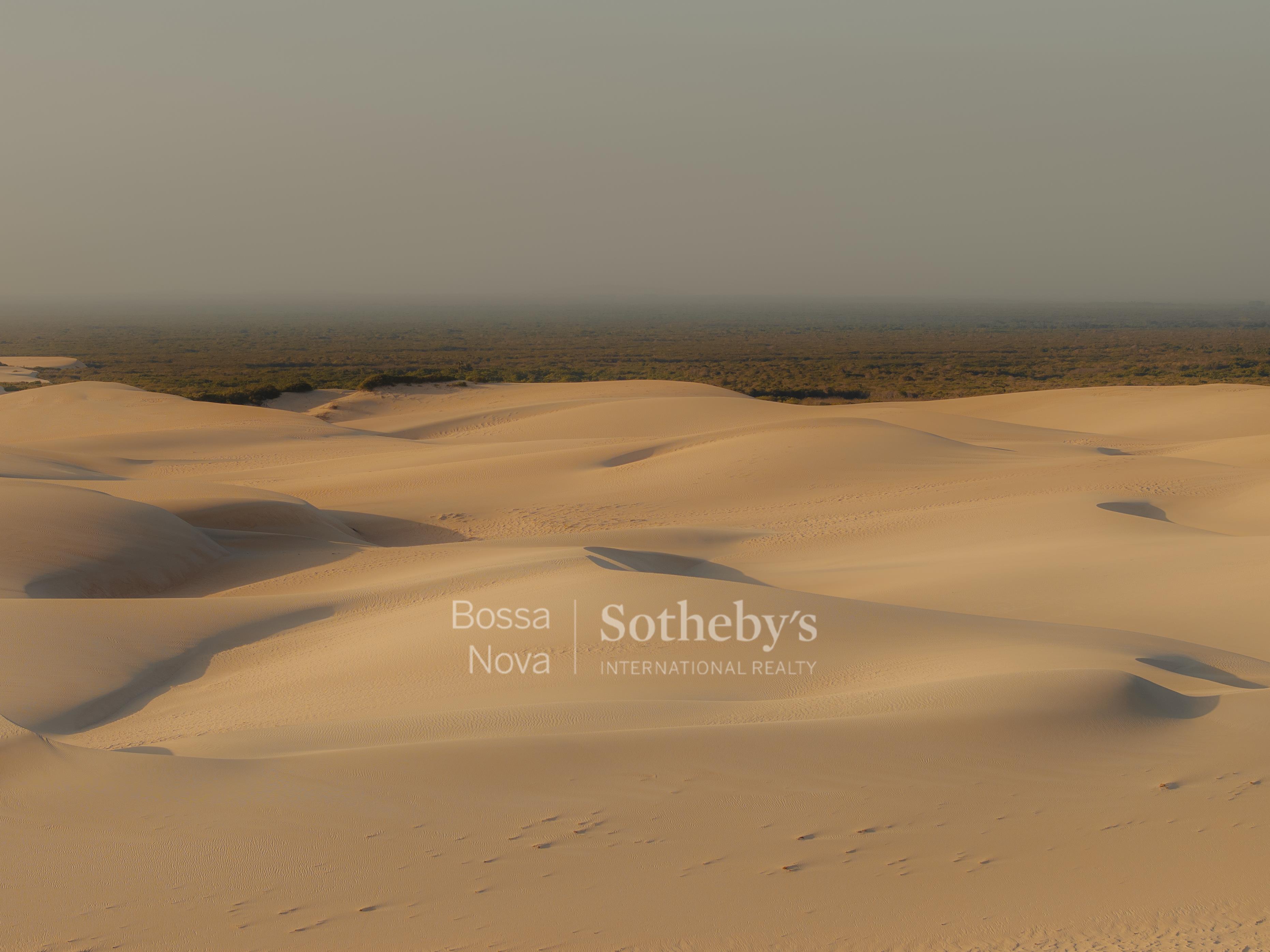 Dunas - Imagem 4