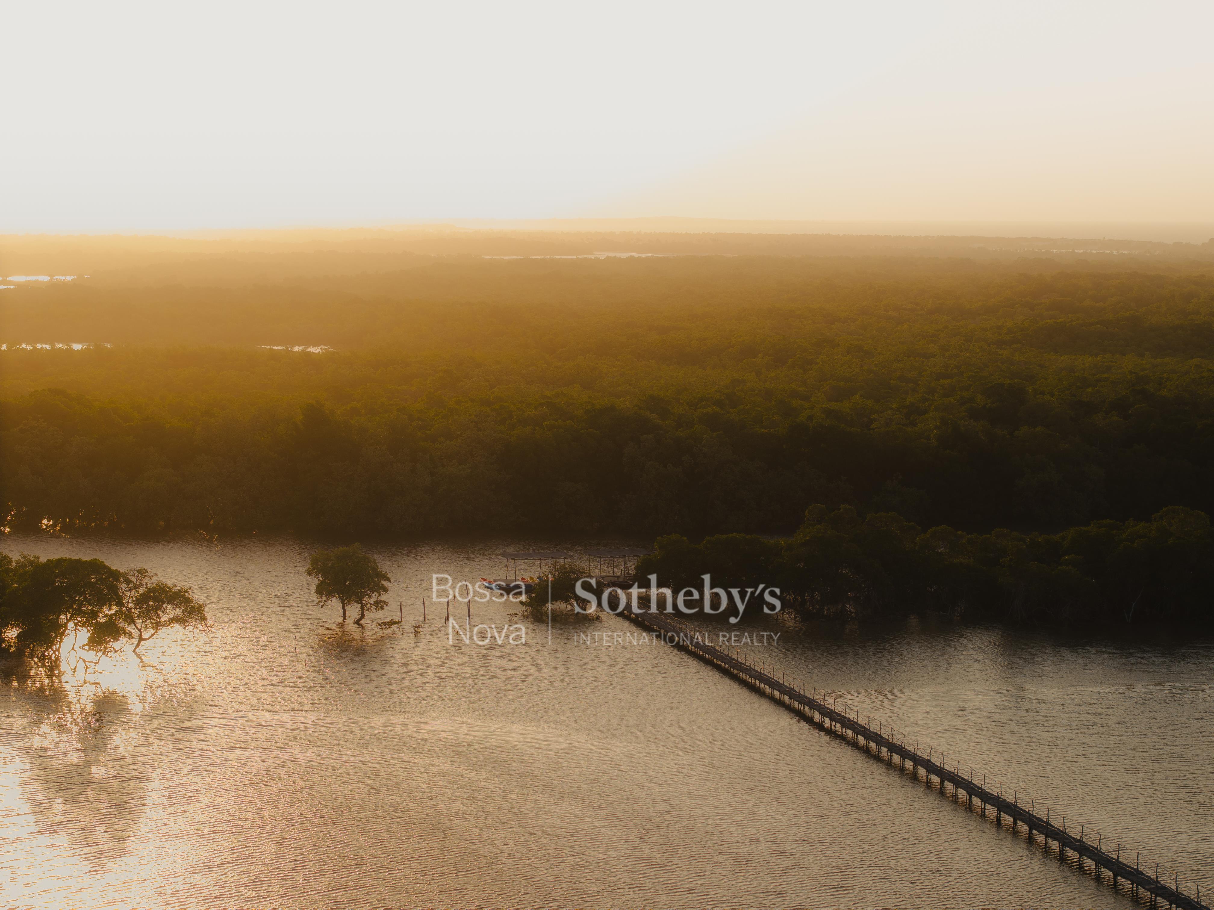 Fazenda Moreias - Imagem 7