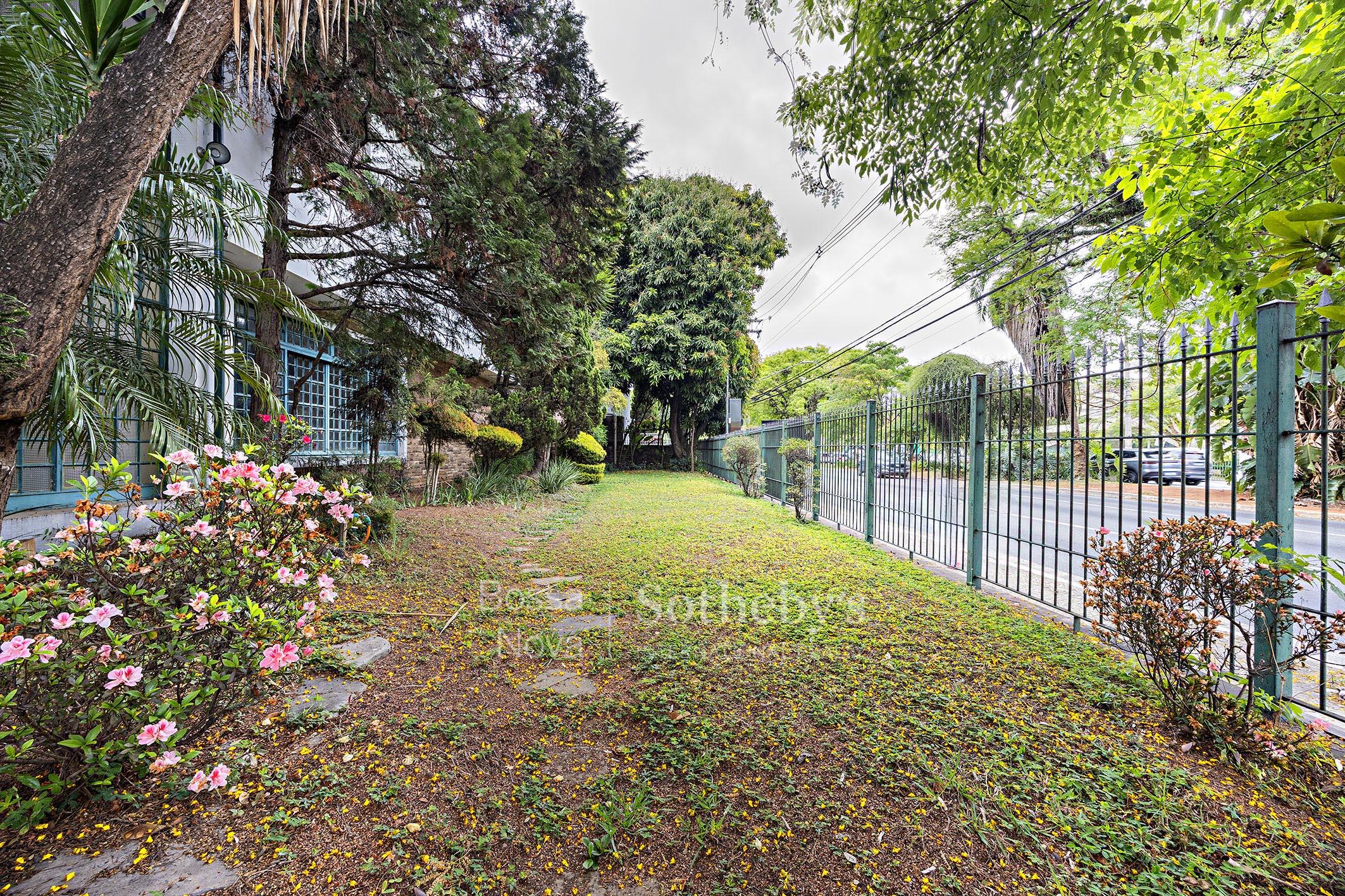 Jardim - Imagem 21
