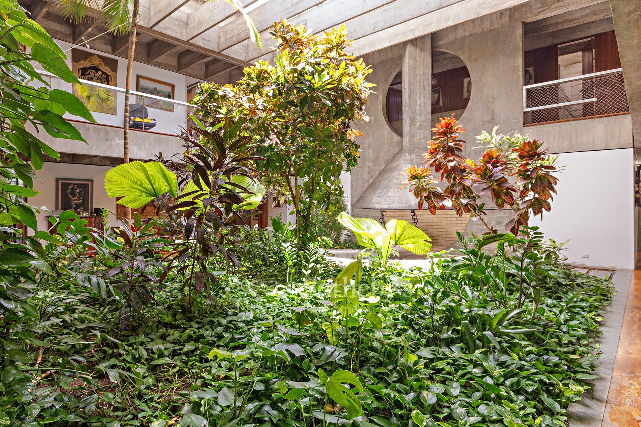 Jardim de inverno - Imagem 7