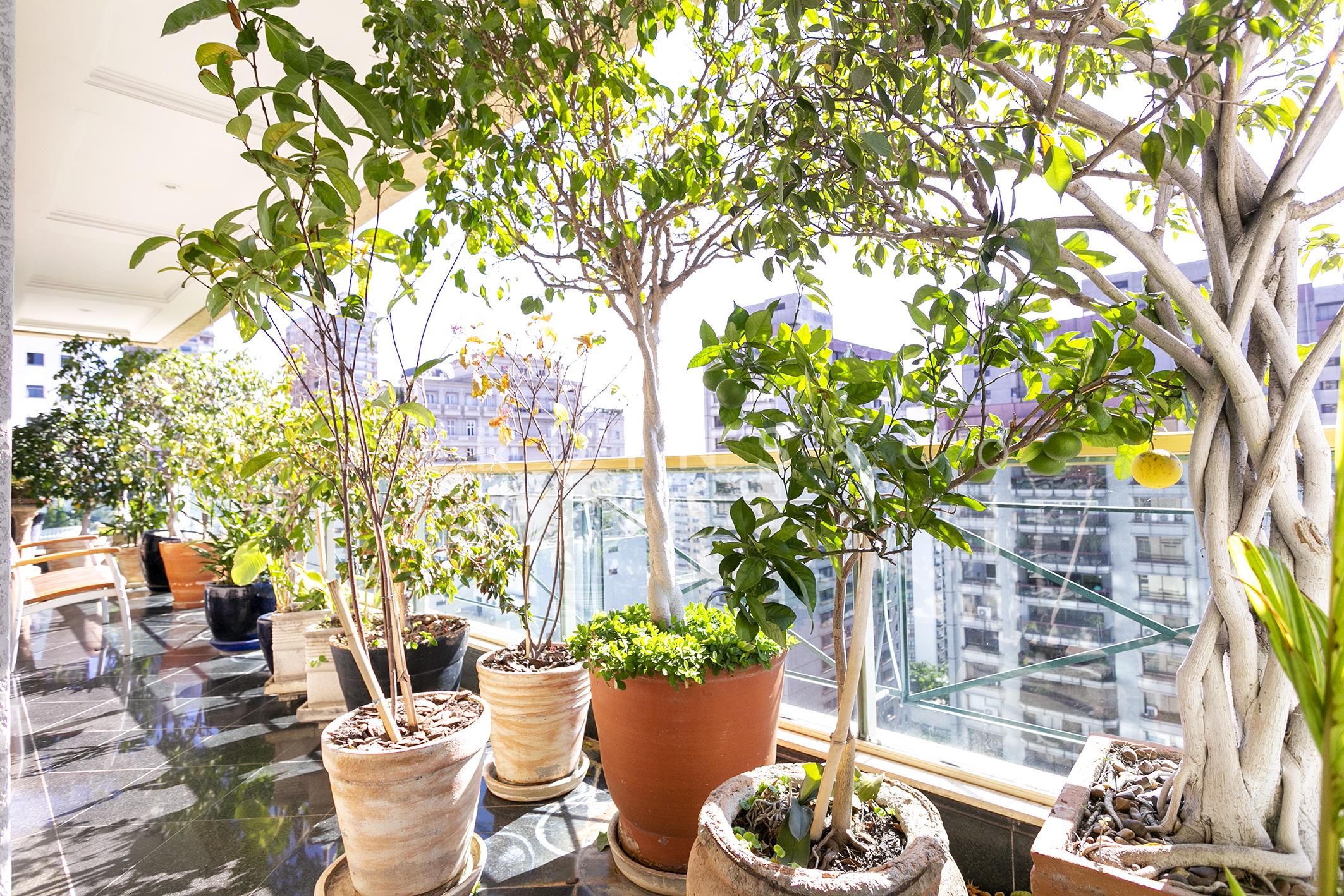 Apartamento no Jardim Paulistano