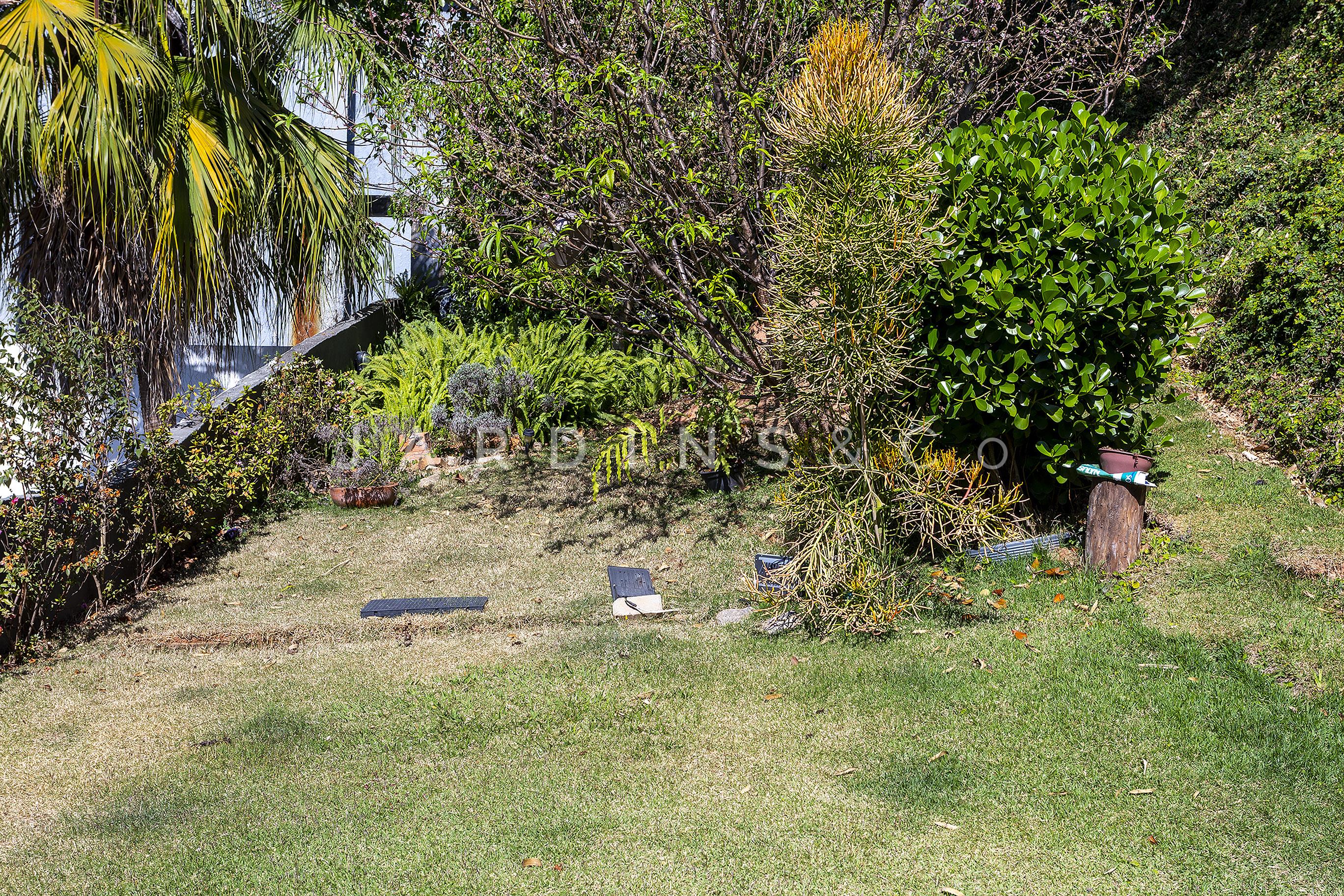Casa no Vila Romana
