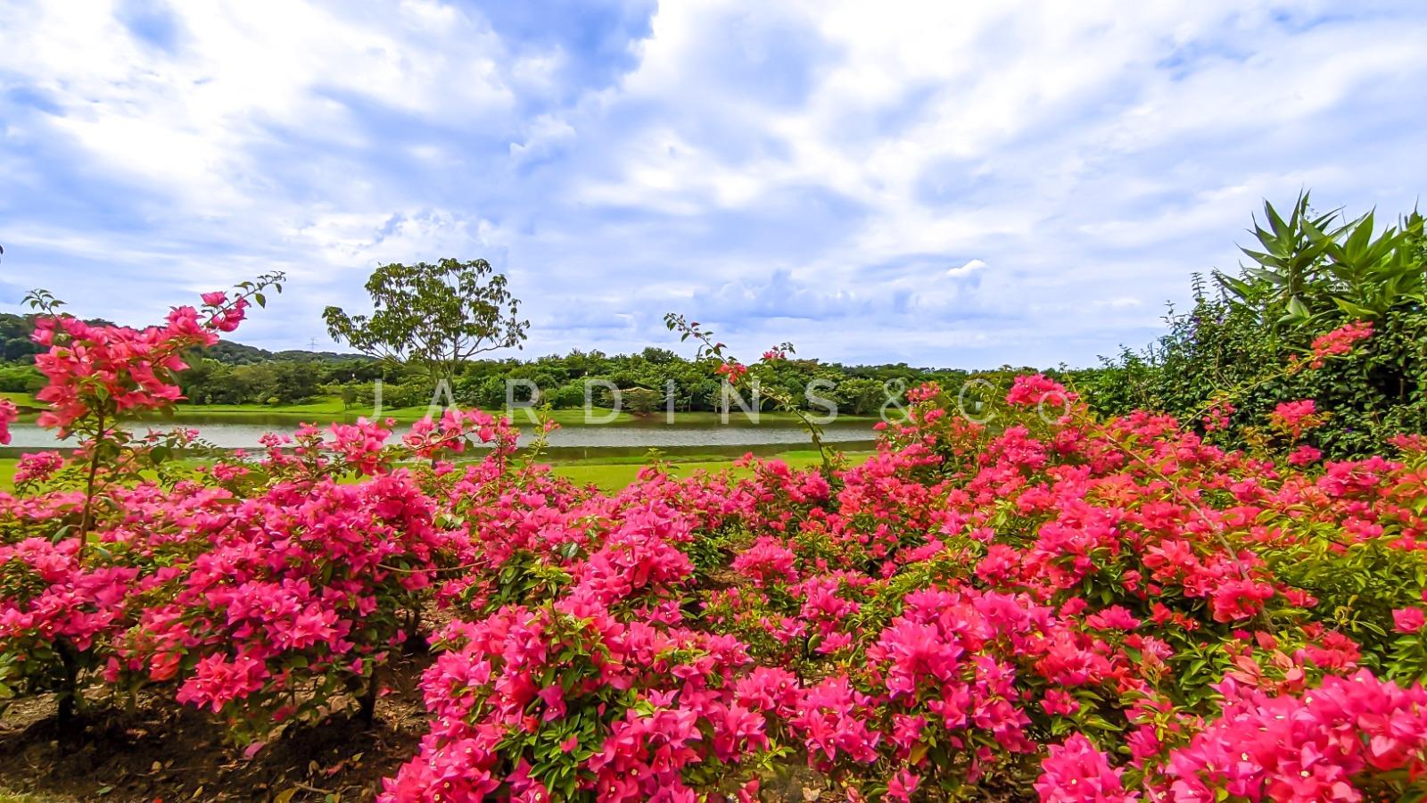 Casa em Condomínio no Fazenda Boa Vista