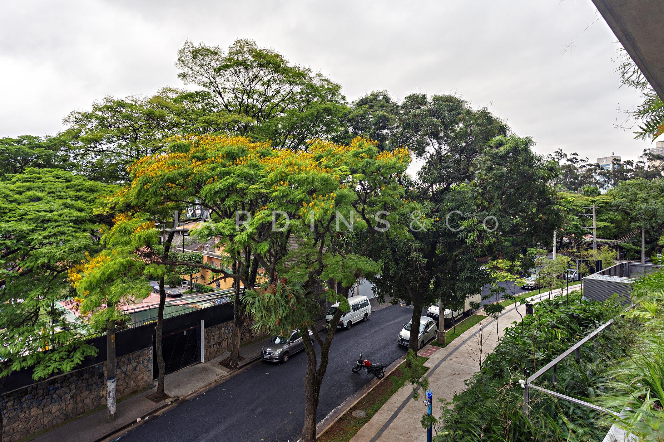 Apartamento no Cidade Jardim