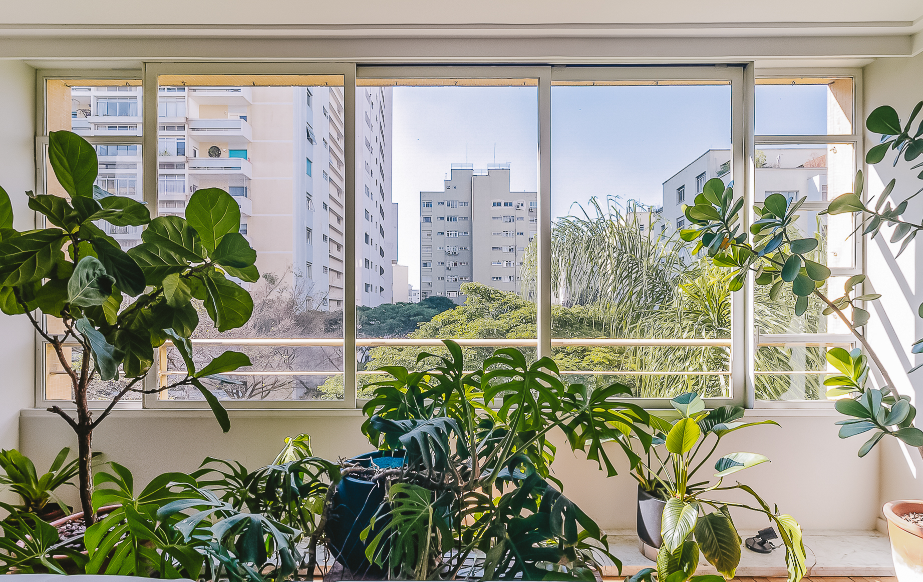 Apartamento no Higienópolis