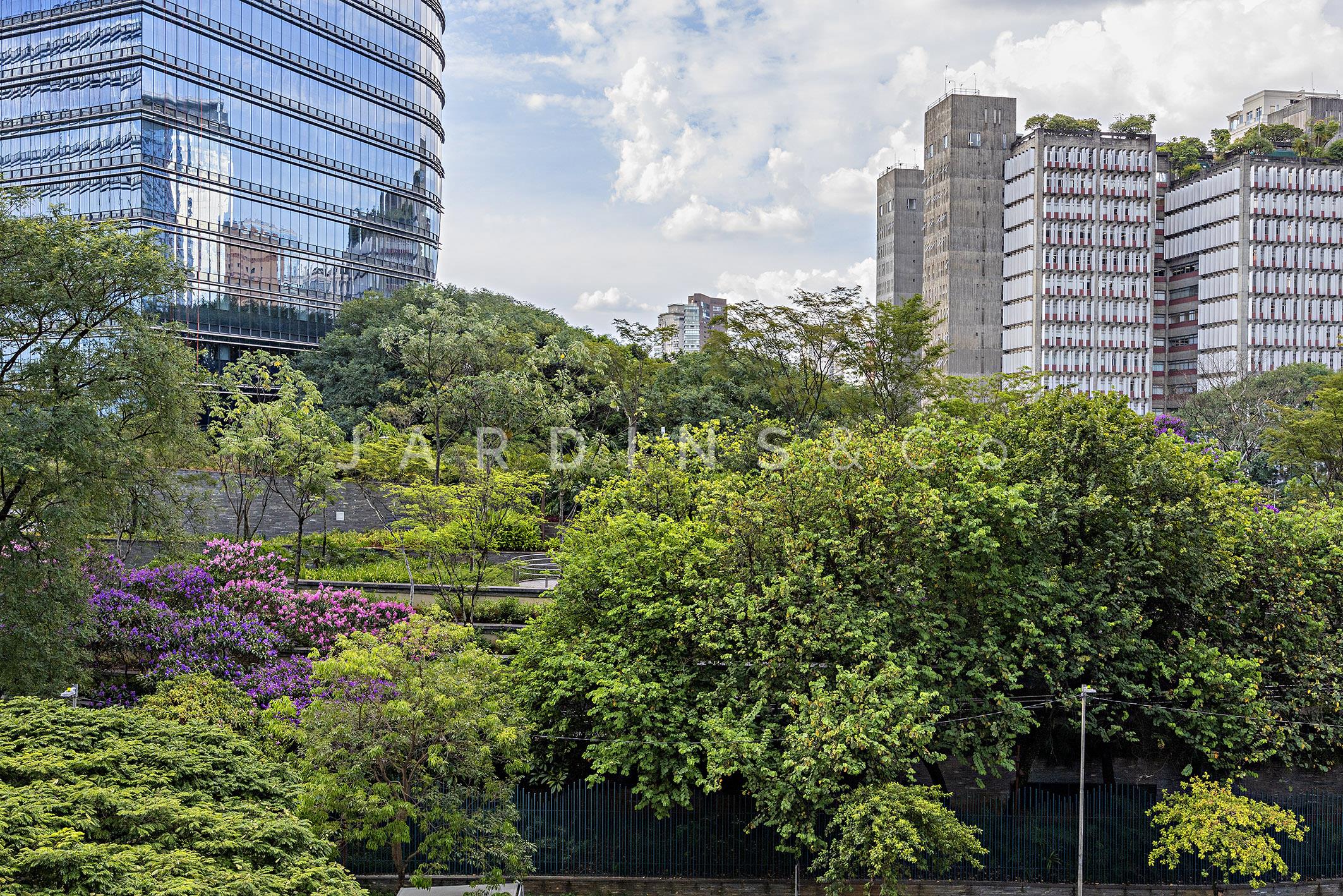 Apartamento no Vila Olímpia
